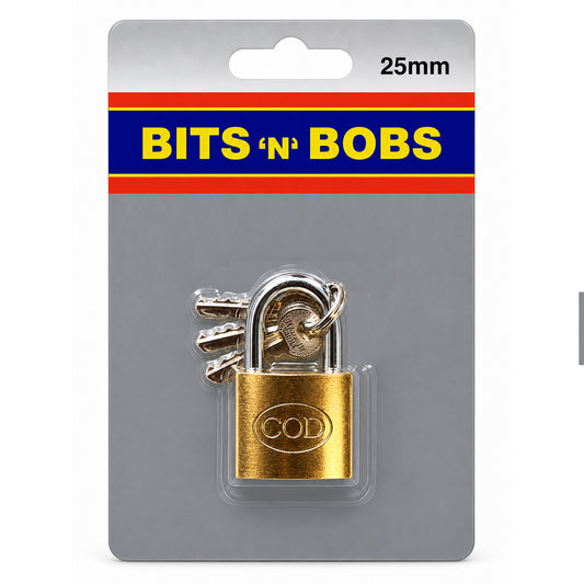 25mm Padlock
